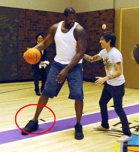 设三项KP 设三项KP