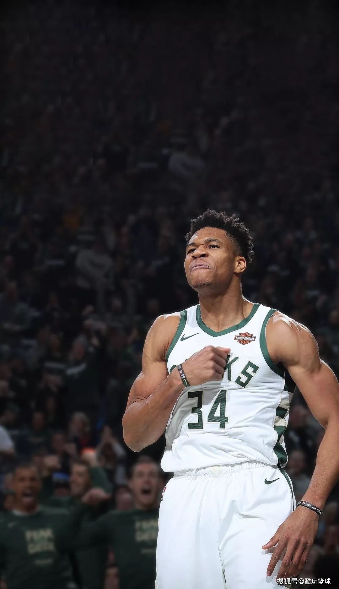 最年轻纪录 最年轻纪录